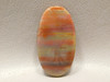 Arizona Red Petrified Rainbow Wood Oval Cabochon Stone #20