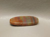 Arizona Red Petrified Rainbow Wood Oval Cabochon Stone #20