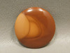 Bruneau Jasper 25 mm Round Stone Cabochon Idaho #14