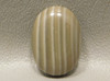 Cabochon Banded Poland Flintstone Semi Precious Gemstone #11