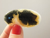 Marcasite Gold Nipomo Agate Cabochon Jewelry Stone Supplies #3