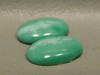 Variscite Matched Pair Utah Green Cabochons for Earrings #7