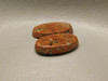 Native Copper Rose Matched Pair Cabochons Michigan #22