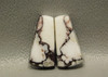 Wild Horse Matched Cabochons Appaloosa Stone Small Pair #13