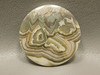 Crazy Lace Agate 34 mm Round Gemstone Cabochon #11