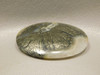 Marcasite Nipomo Agate Cabochon California Stone #13