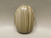 Cabochon Stone Striped Polish Flint  25 mm by 18 mm Oval #20