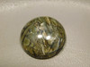 Arizona Pietersite Tiger-eye 25 mm Round Tigers eye Cabochon #5