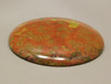 49 mm Round California Morgan Hill Poppy Jasper Cabochon #23