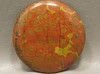 49 mm Round California Morgan Hill Poppy Jasper Cabochon #23