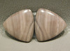 Royal Imperial Jasper Cabochon Stones Matched Pair 17 mm Trillion #3