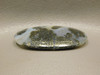 Nipomo Plume Agate Gold Marcasite Pyrite Inclusions Cabochon Stone #7
