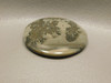 Cotham Marble Fossil Stone Cabochon Jewelry Designer Gemstone #8