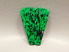Maw Sit Sit Matched Pair Cabochons High Grade Vibrant Green #5