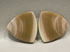 Royal Imperial Jasper Cabochon Stones Matched Pair 20 mm Triangles #23
