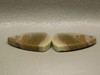 Royal Imperial Jasper Cabochon Stones Matched Pair 20 mm Triangles #23