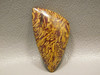 Cabochon Coquina Jasper Script Stone for Jewelry Making #19