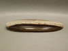 Fossilized Sycamore Fossil Cabochon Petrified Wood #24