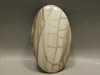 Royal Imperial Jasper Natural Jewelry Making Cabochon Stone #11