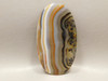 Piranha Agate Cabochon Large Collector Translucent Banded xl4