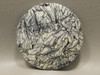Pinolith Pinolite 2.5 inch Gemstone Large Round 63 mm Cabochon #xl4