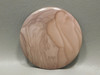 Willow Creek Jasper 63 mm 2.5 inch Round Large Collector Cabochon #xl4