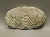 Crazy Lace Agate High Grade Stone Large Oval Collector Cabochon #xl3