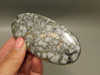 Mohawkite 3.5 inch Large Collector Designer Cabochon Stone #XL2