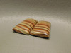 Wave Dolomite Jewelry Earring Stone Cabochons Matched Pairs #12