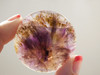 Super Seven Amethyst Purple Gold 40 mm Round Cabochon #14