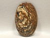 Deschutes Picture Jasper Stone Cabochon 60 mm by 40 mm Oval #10