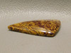 Triangle Cabochon Coquina Jasper Cobra Stone for Jewelry Making #24