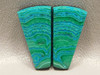 African Chrysocolla Malachite Matched Pair Cabochons for Earrings #21