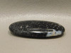 Black Polka Dot Petrified Wood Cabochon Stone Louisiana #17