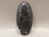 Black Polka Dot Petrified Wood Cabochon Stone Louisiana #17