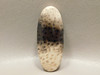 Petrified Palm Wood Louisiana  Side Drilled Stone Bead Pendant #1