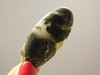 Gold Marcasite and Pyrite  Nipomo Plume Agate Cabochon Stone #9