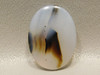 Montana Moss Agate Translucent Semiprecious Stone Oval Cabochon #10