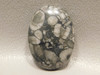 Black and White Crinoid Marble Fossil Designer Cabochon #20