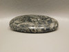 Crinoid Marble Fossilized Loose Stone Cabochon #16