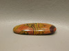 Morgan Hill Poppy Jasper Red Yellow Orbicular Jasper Cabochon #7