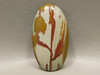 Owyhee Picture Jasper Stone Designer Cabochon Red Scenic #19