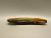 Rainbow Petrified Wood Long Thin Oval Cabochon Loose Stones #4