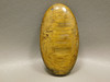 Lion Skin Quartz Cabochon Stone Tiger Eye Tigereye Tiger's Eye #1