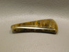 Lion Skin Quartz Cabochon Stone Tigereye Chatoyancy #17