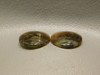 Arizona Pietersite Matched Pair Cabochons #10