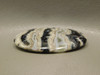 Stone Cabochon Crazy Lace Agate Oval Black and White #24
