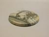 Cotham Marble Fossil Stromatolite Designer Cabochon England #21