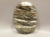 Arizona Pietersite Large Collector Cabochon #XL2