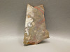 Wild Horse Stone Small Polished Stone Slab Natural Cabochon #S2